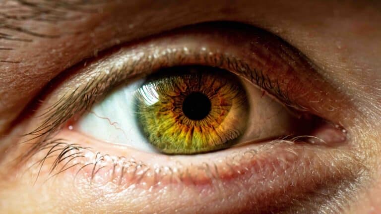 Longevity und Augengesundheit: Die Checkliste